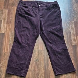Venezia Deep Purple Corduroy Trousers